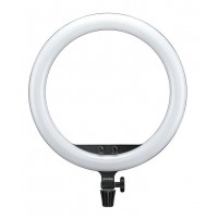 Ring Light Godox LR150 bicolore