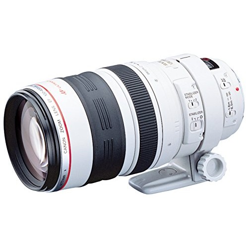 Canon EF 100-400 mm F/4.5-5.6 L IS USM
