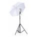 Godox parapluie translucide 101cm